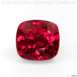 Male Ruby