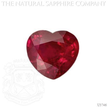 Valentine’s Day Gifts
