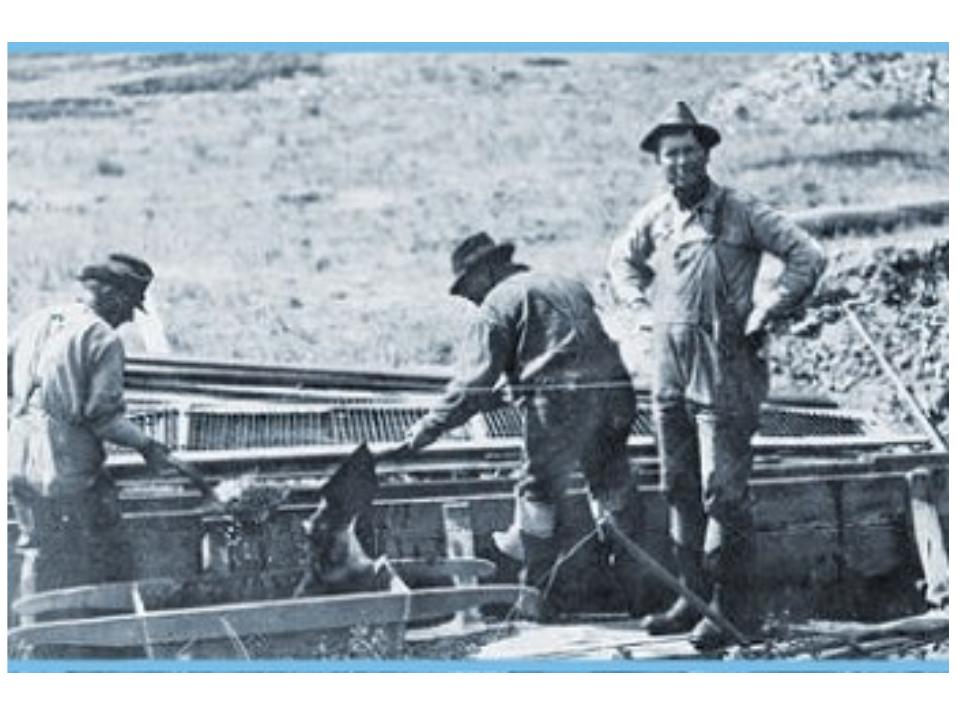 Old Photo of miners in Montana