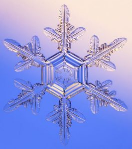 Special Snowflake Special Snowflake