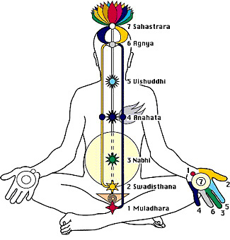 The Spiritual and Medicinal Properties of Sapphires