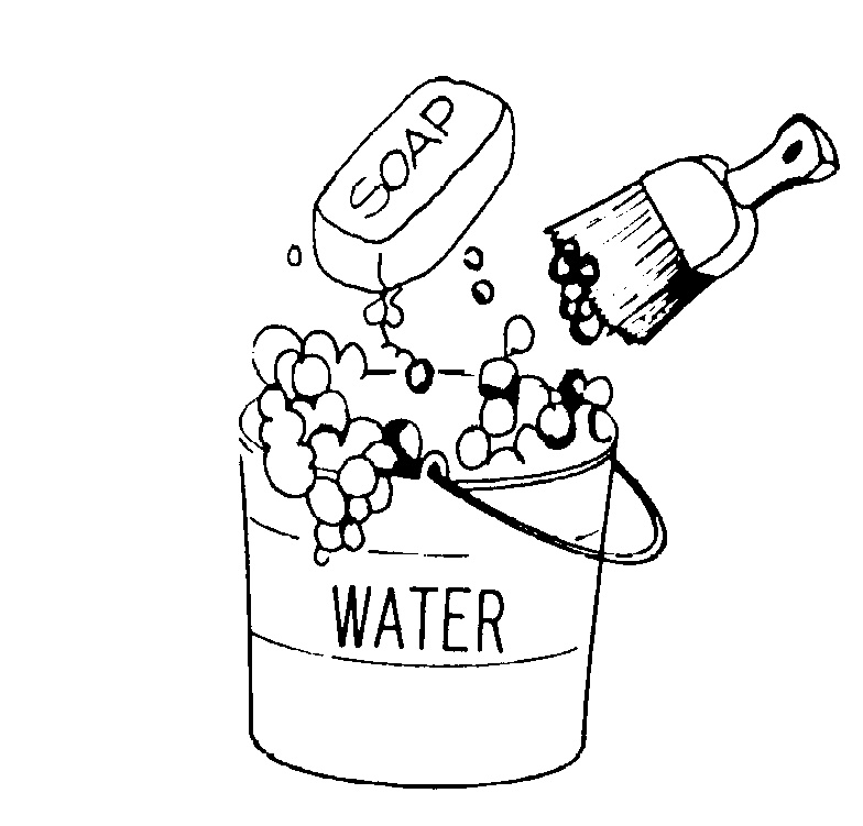 soap-water-and-brush1