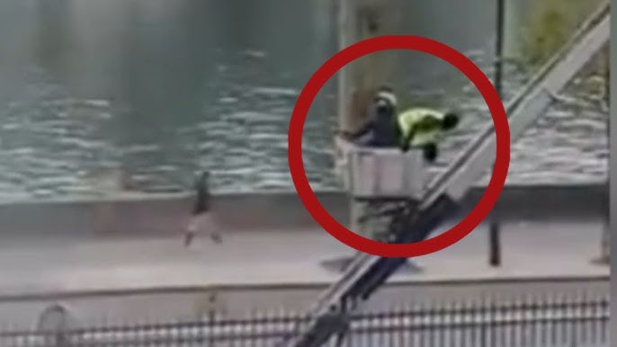 Bold Escape Uncovered