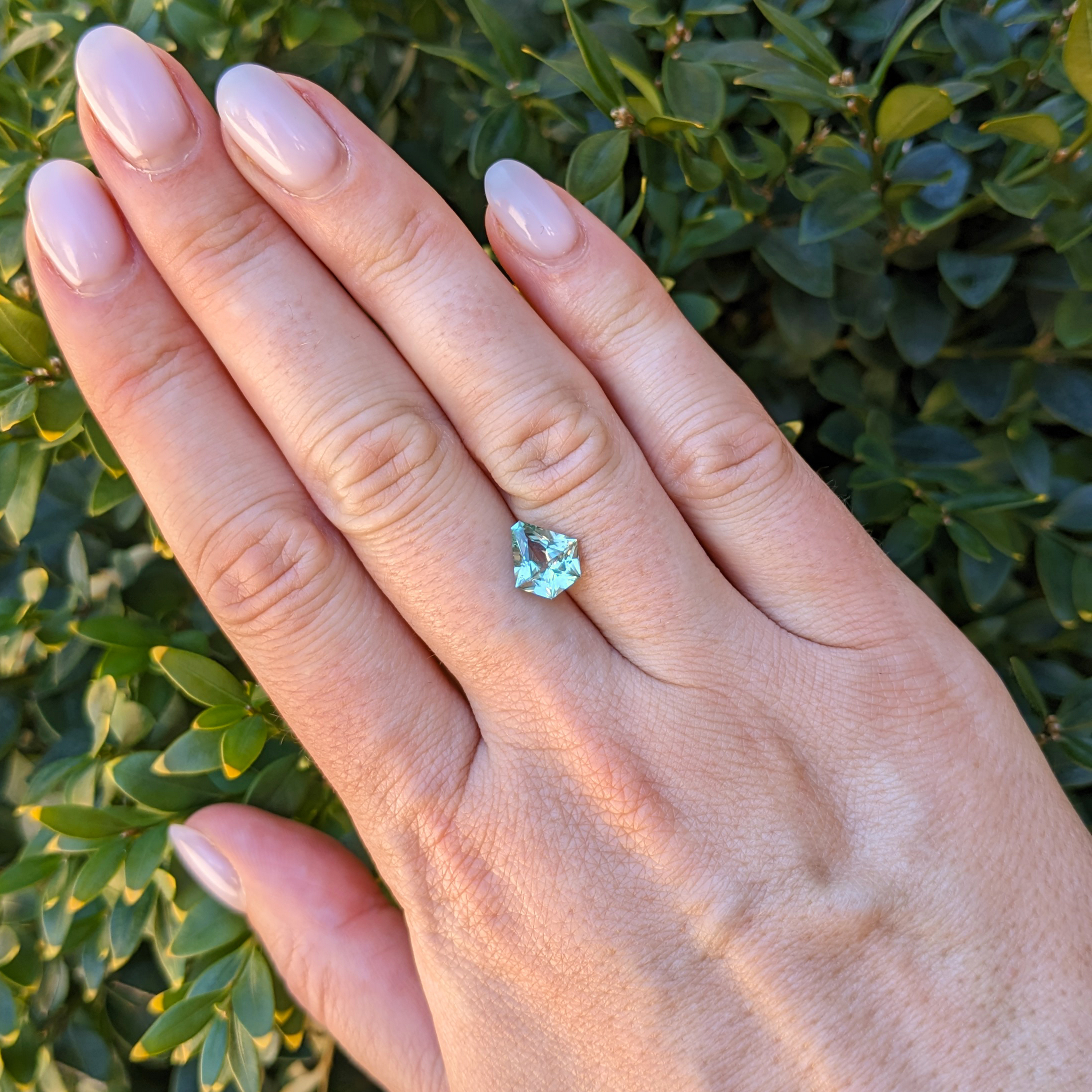 Natural 1.80 carat Montana green sapphire on a hand in front of green foliage
