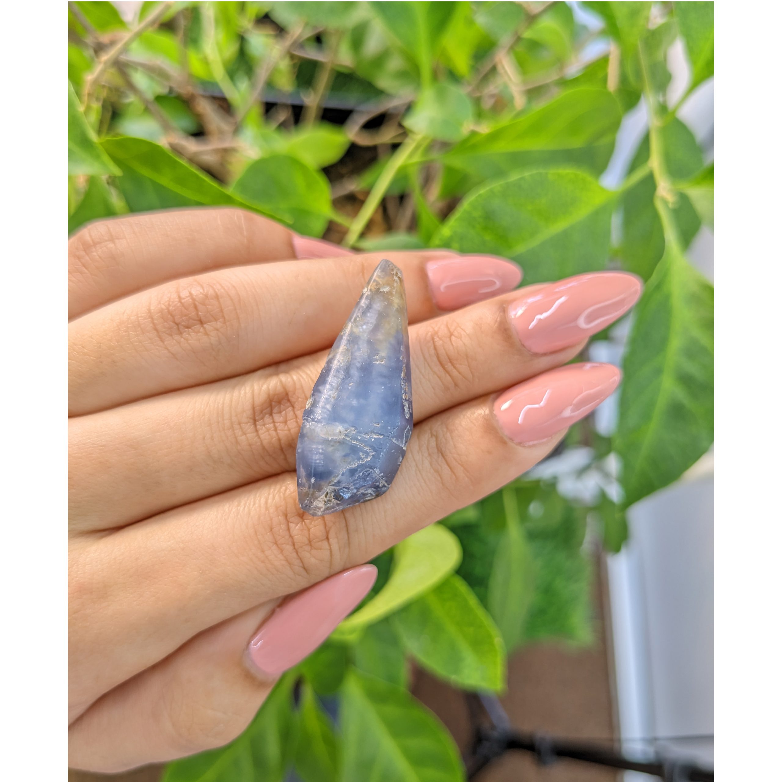 Natural rough blue sapphire crystal held in a hand in front of green leaves