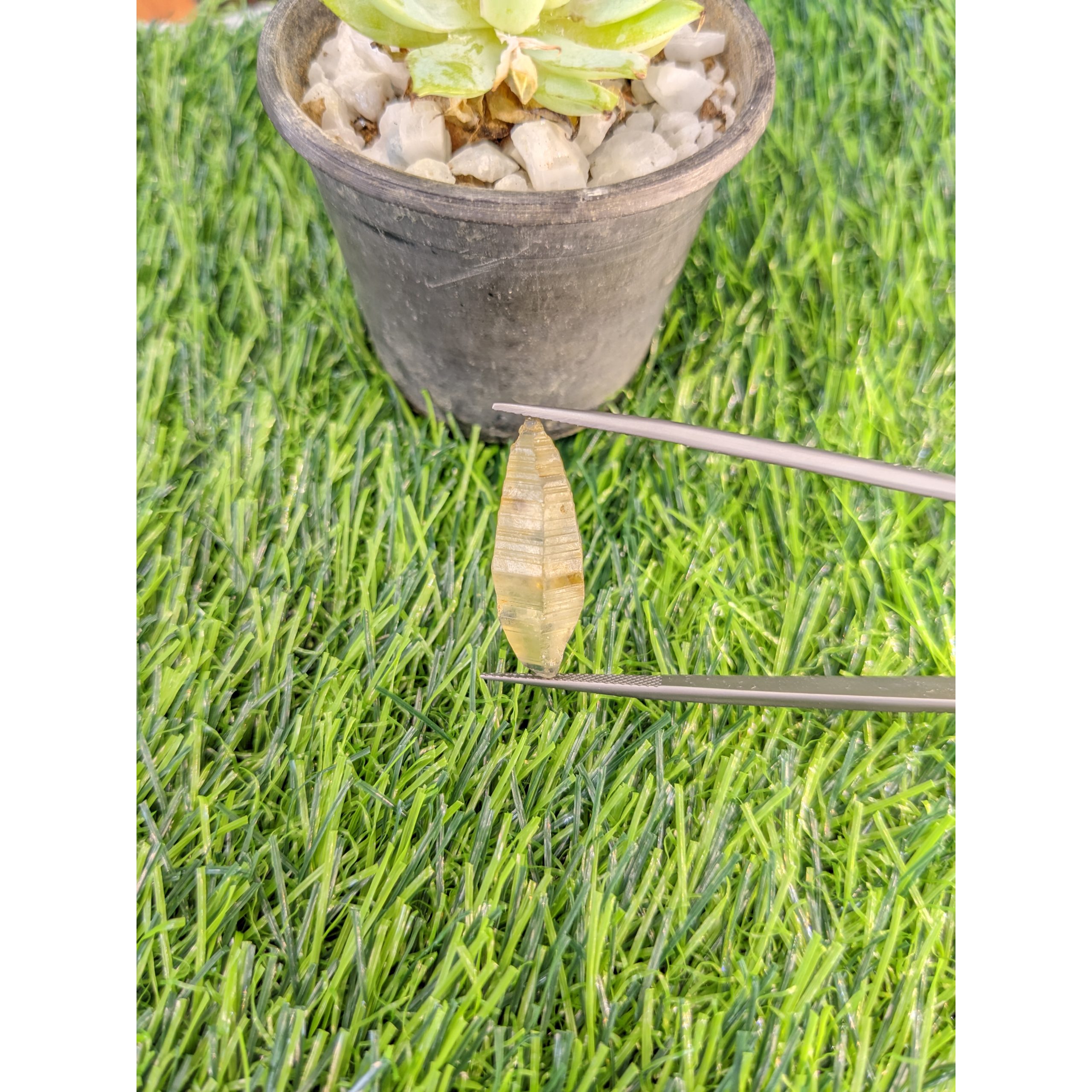 Natural rough yellow sapphire crystal held in tweezers on a green lawn mat beside a small plant pot